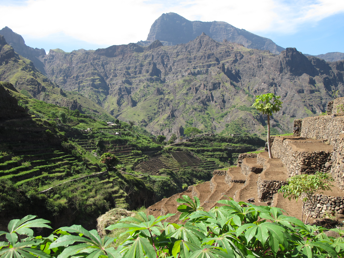 Cultures en terrasse dans la vallée d'Alto Mira, sur l'île de Santo Antao