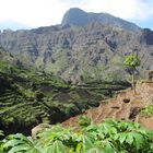 Cultures en terrasse dans la vallée d'Alto Mira, sur l'île de Santo Antao