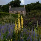 Culzean Castle