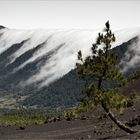 Cumbre Nueva