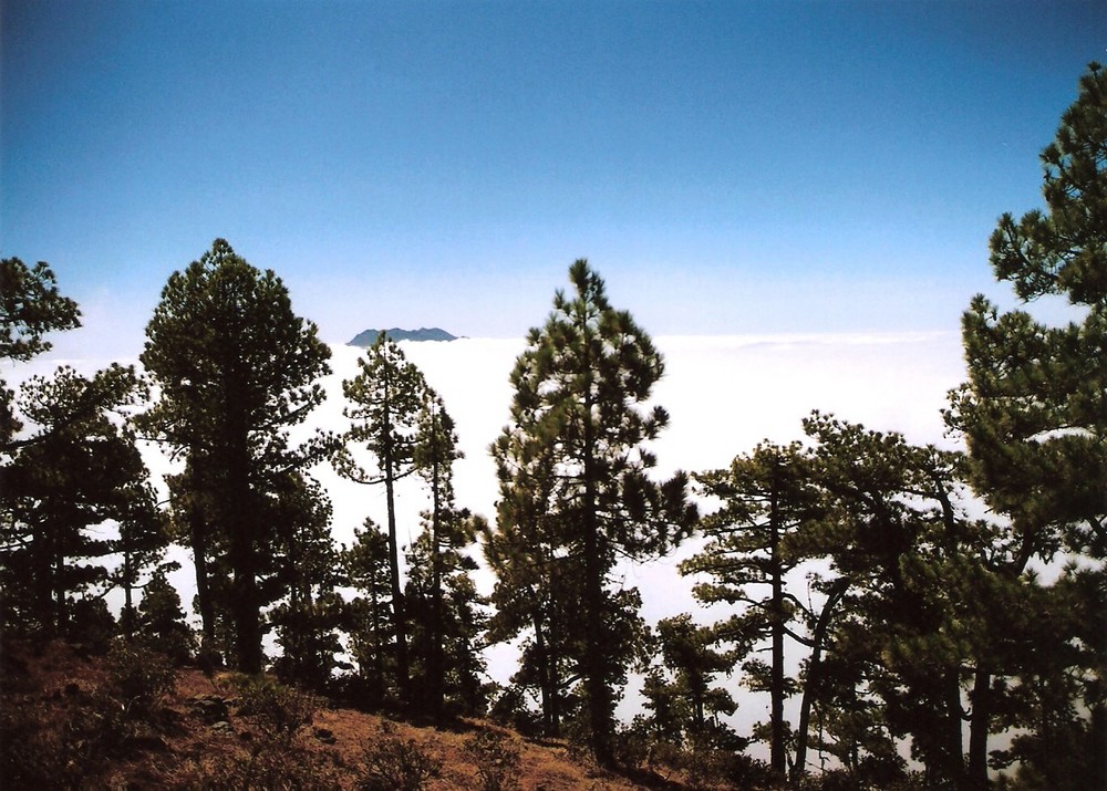 Cumbre Vieja desde el Pico Bejenado