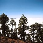 Cumbre Vieja desde el Pico Bejenado