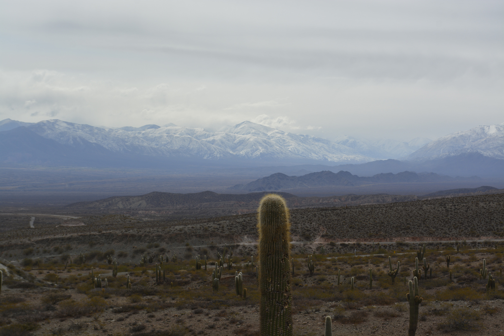 Cumbres Nevadas