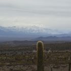 Cumbres Nevadas