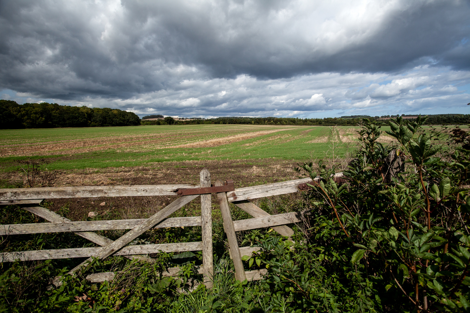 Cumbria