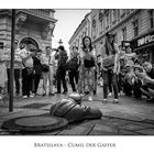 Cumil der Gaffer - Bratislava