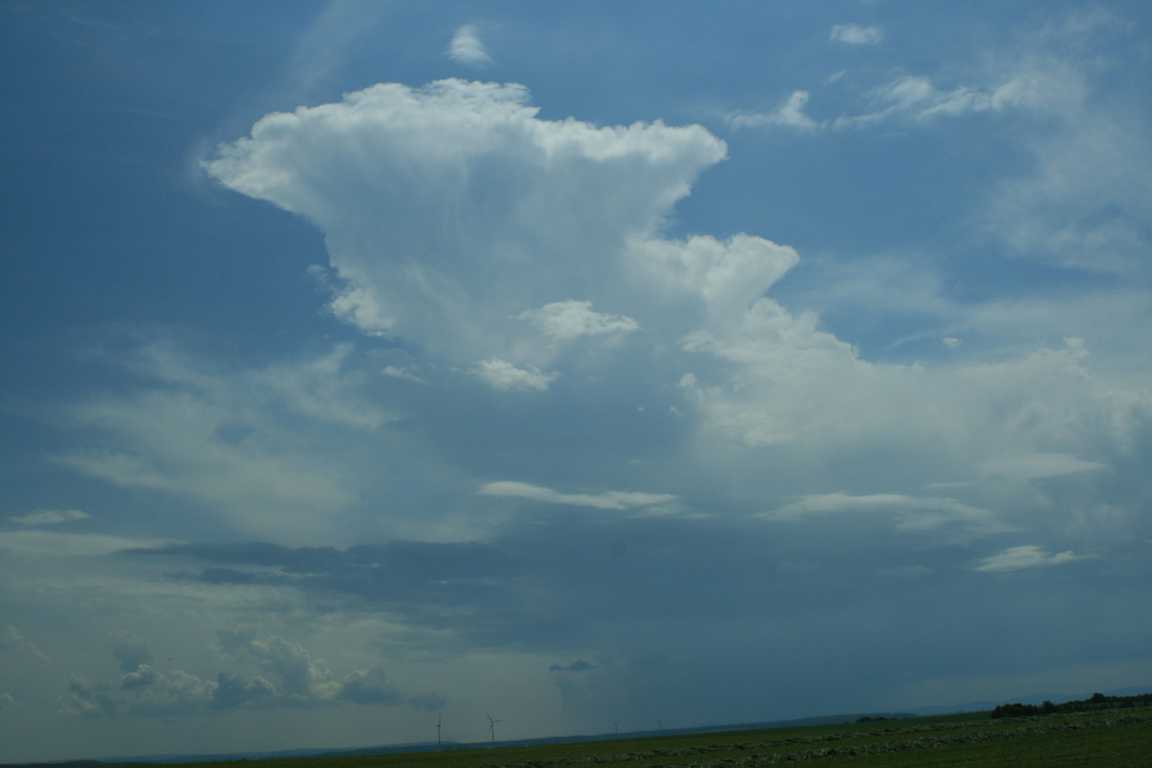 Cummulonimbus capillatus