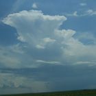 Cummulonimbus capillatus