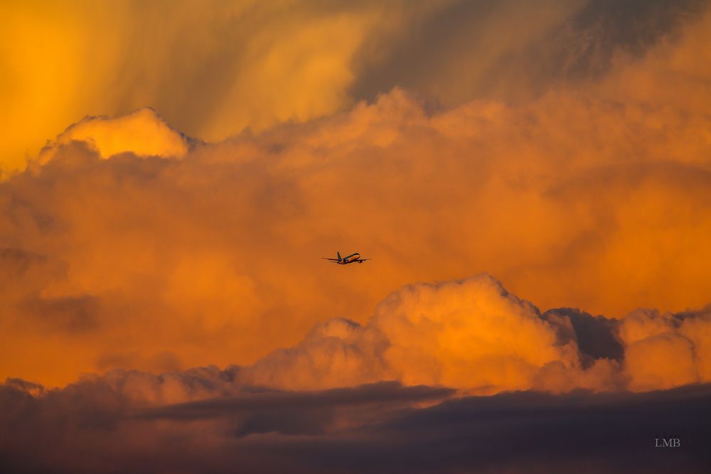 Cumulonimbus