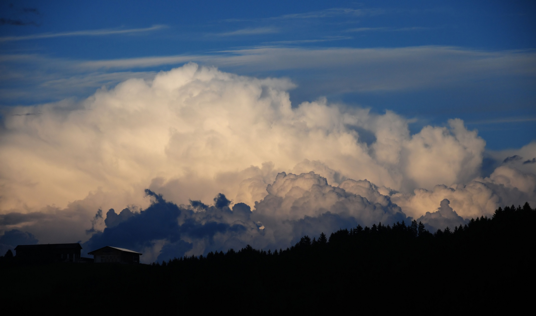 Cumulonimbus Calvus