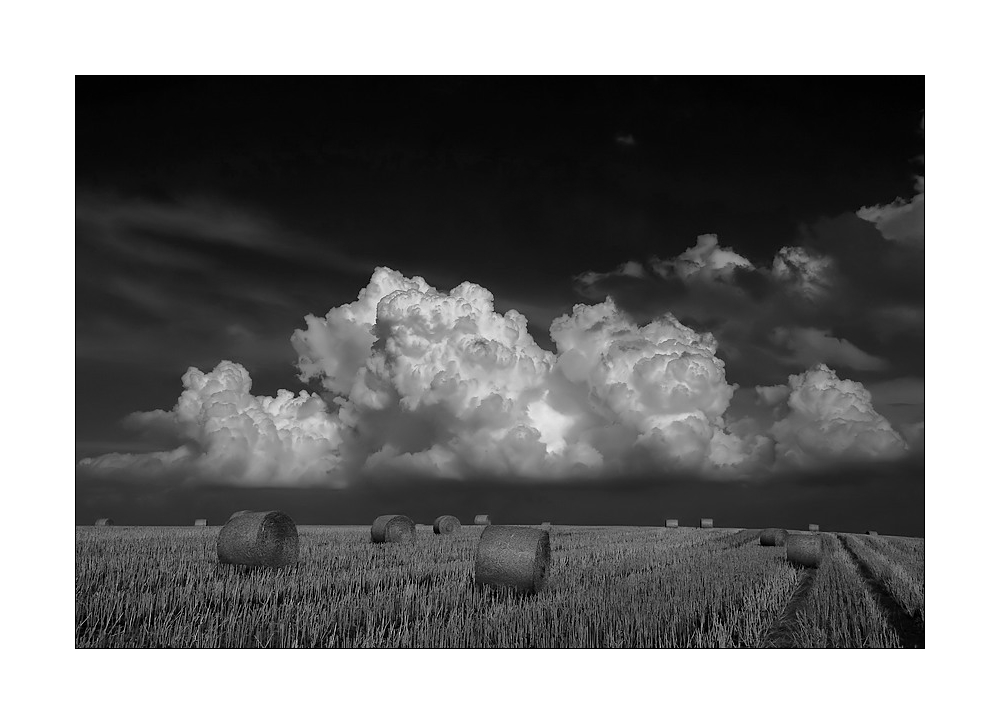 Cumulonimbus Calvus