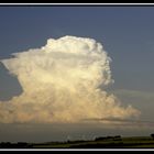 Cumulonimbus capillatus incus