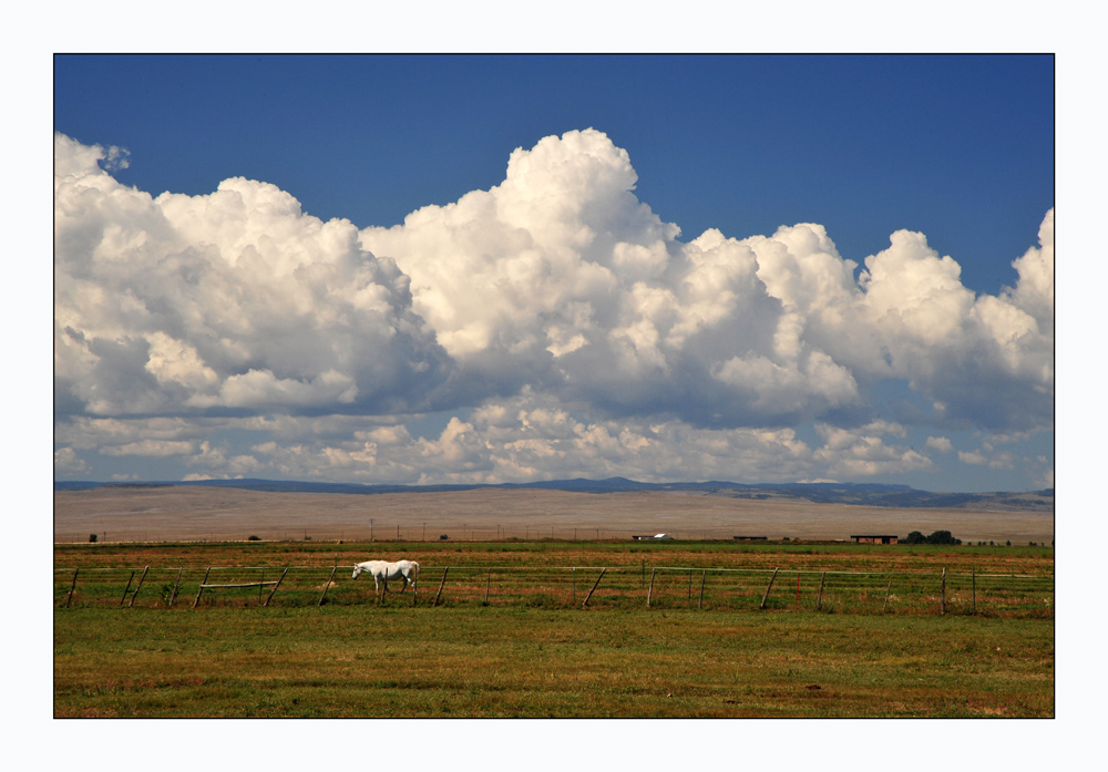 Cumulonimbus