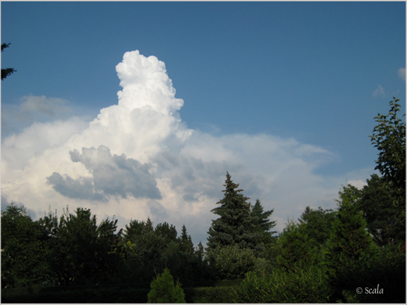 Cumulonimbus I