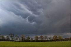 Cumulonimbus mamma?