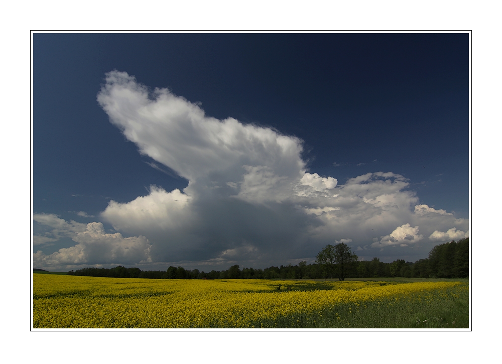 Cumulonimbus_22.5.11