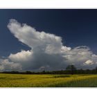 Cumulonimbus_22.5.11