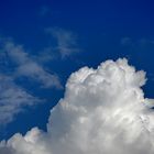 Cumulus