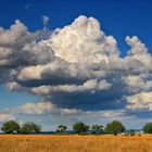 Cumulus