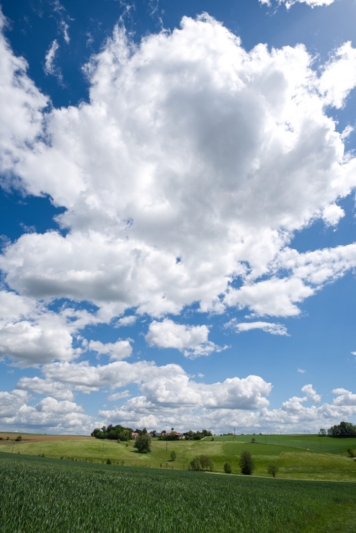 Cumulus