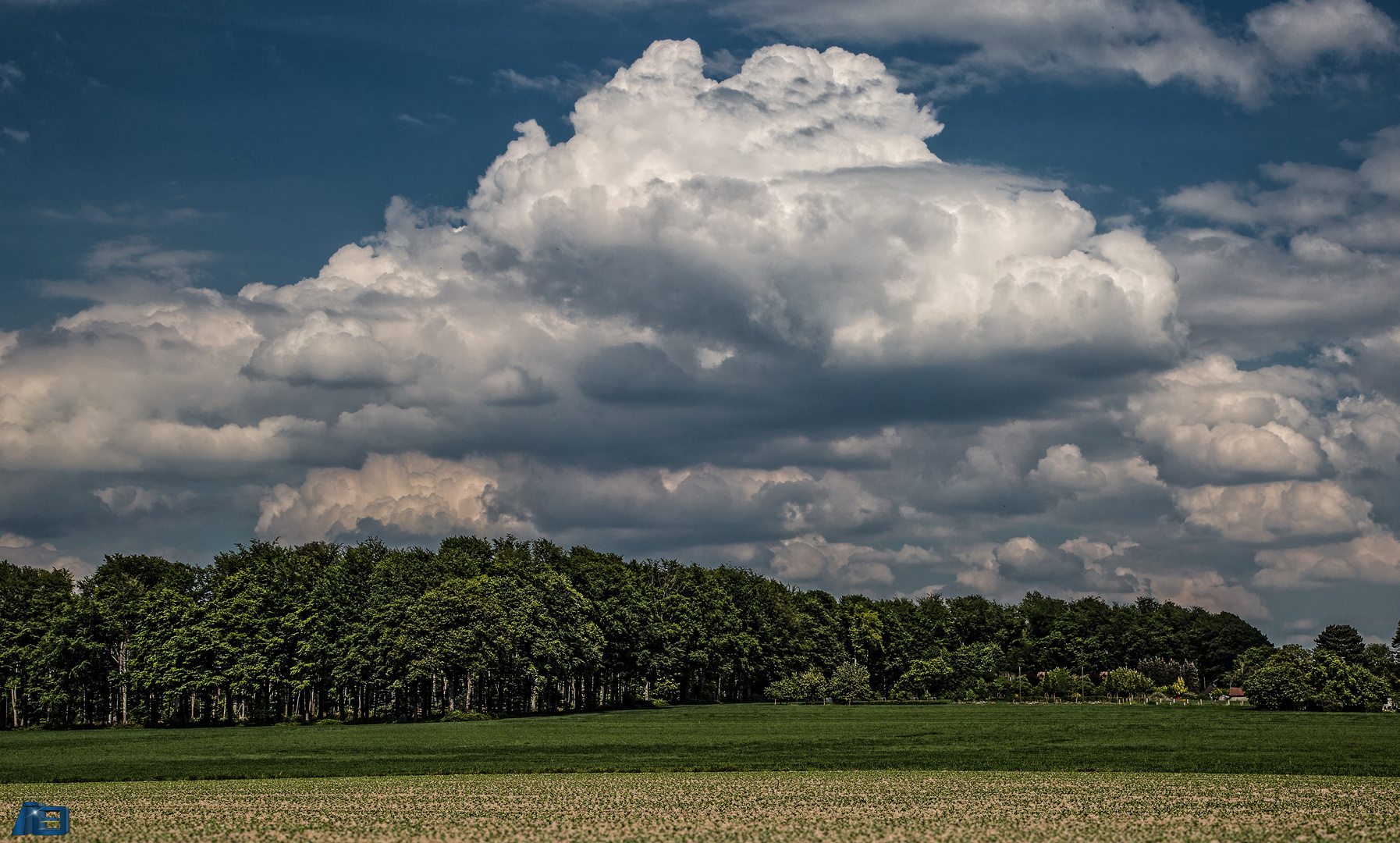 Cumulus