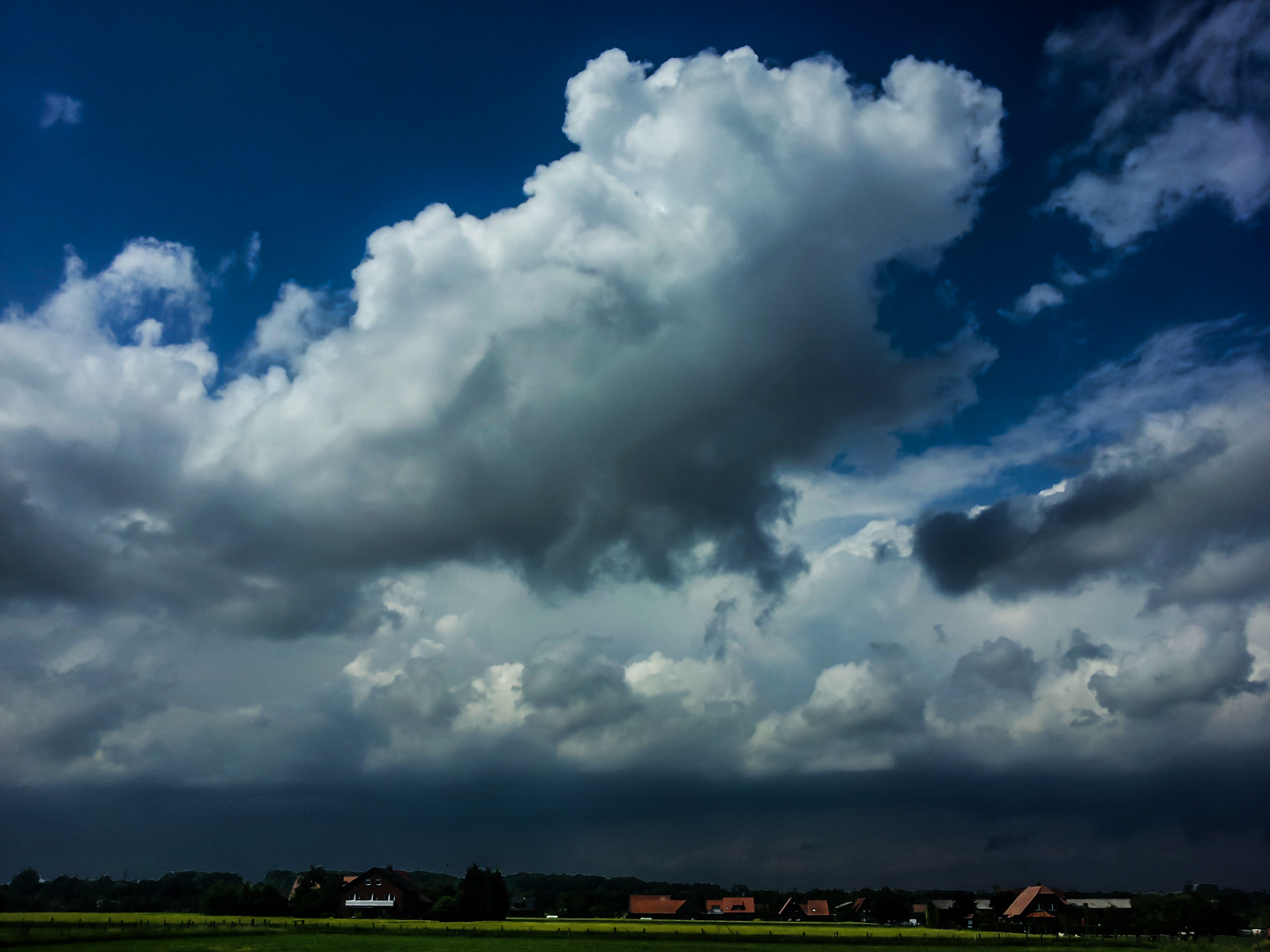 Cumulus clouds