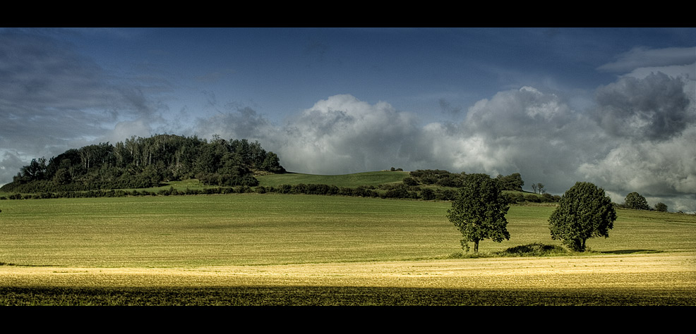 Cumulus congestus 004