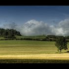 Cumulus congestus 004