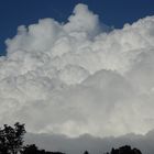 Cumulus congestus