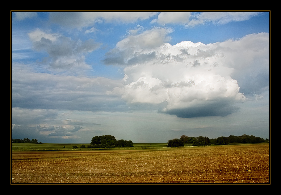 Cumulus