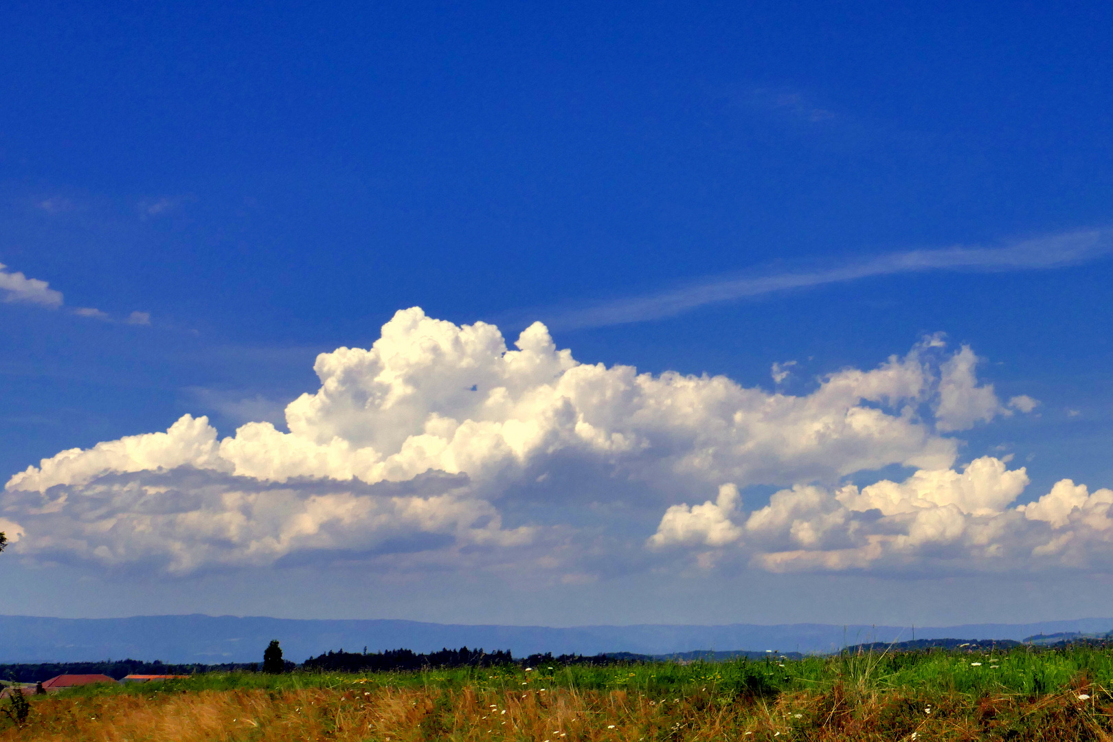 Cumulus humilis über dem Jura