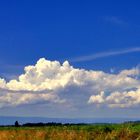 Cumulus humilis über dem Jura