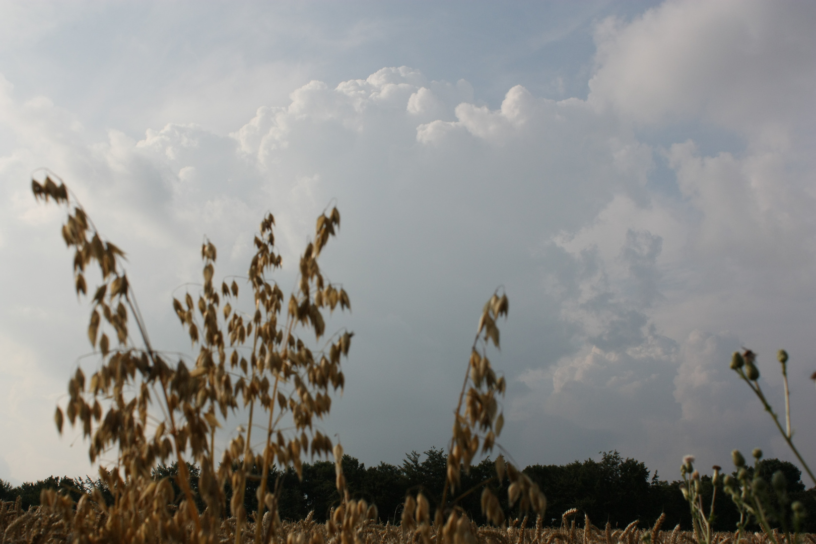 Cumulus II