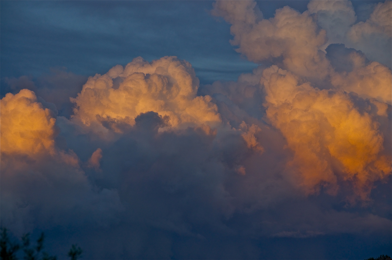 cumulus in the sunset