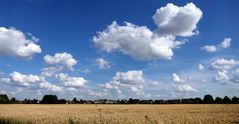 Cumulus Wolken 