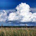 Cumuluswolken über Rügen