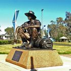 * Cunnamulla Fellow / sitting on his Mathilda *