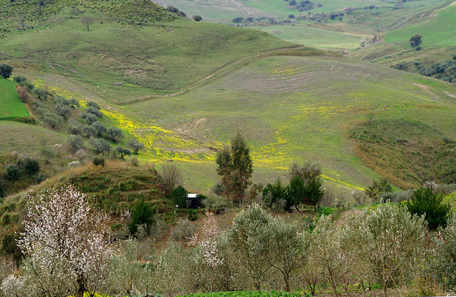 Cuore di Sicilia 2