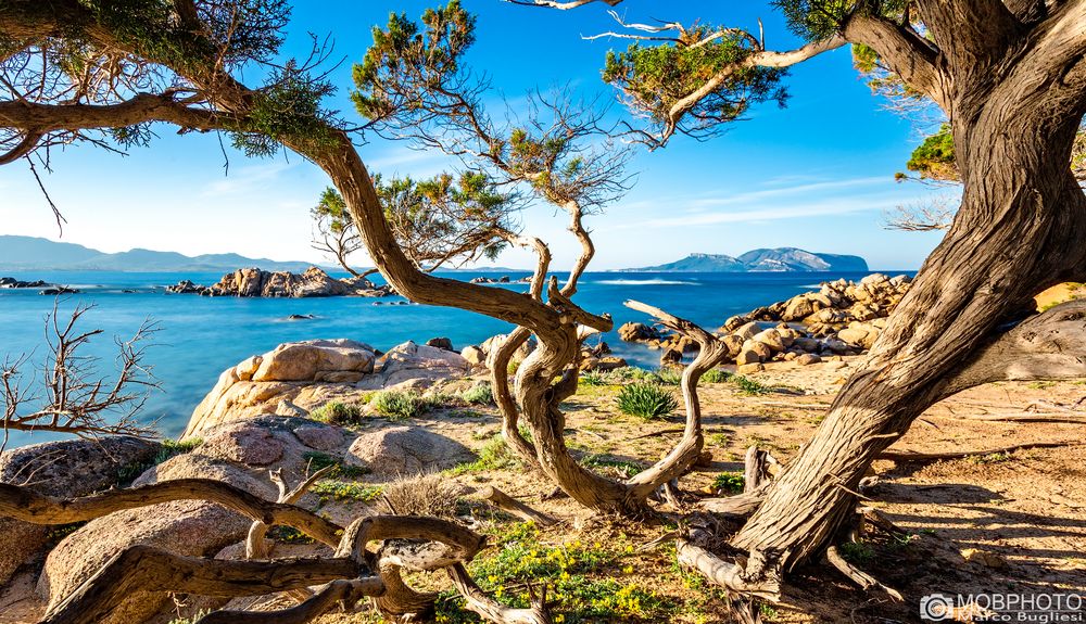 Cuore selvatico della Sardegna