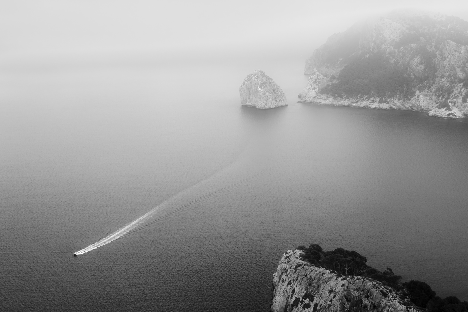 Cup Formentor in bnw