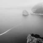 Cup Formentor in bnw