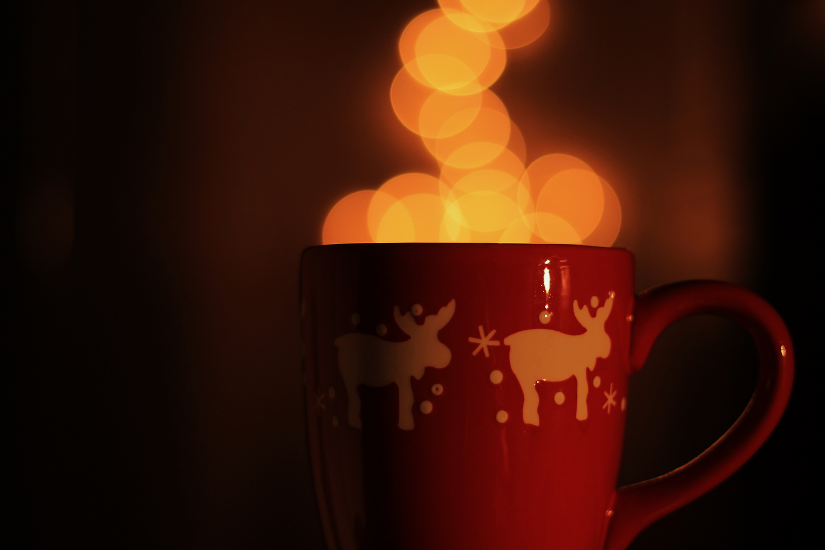 cup of lights