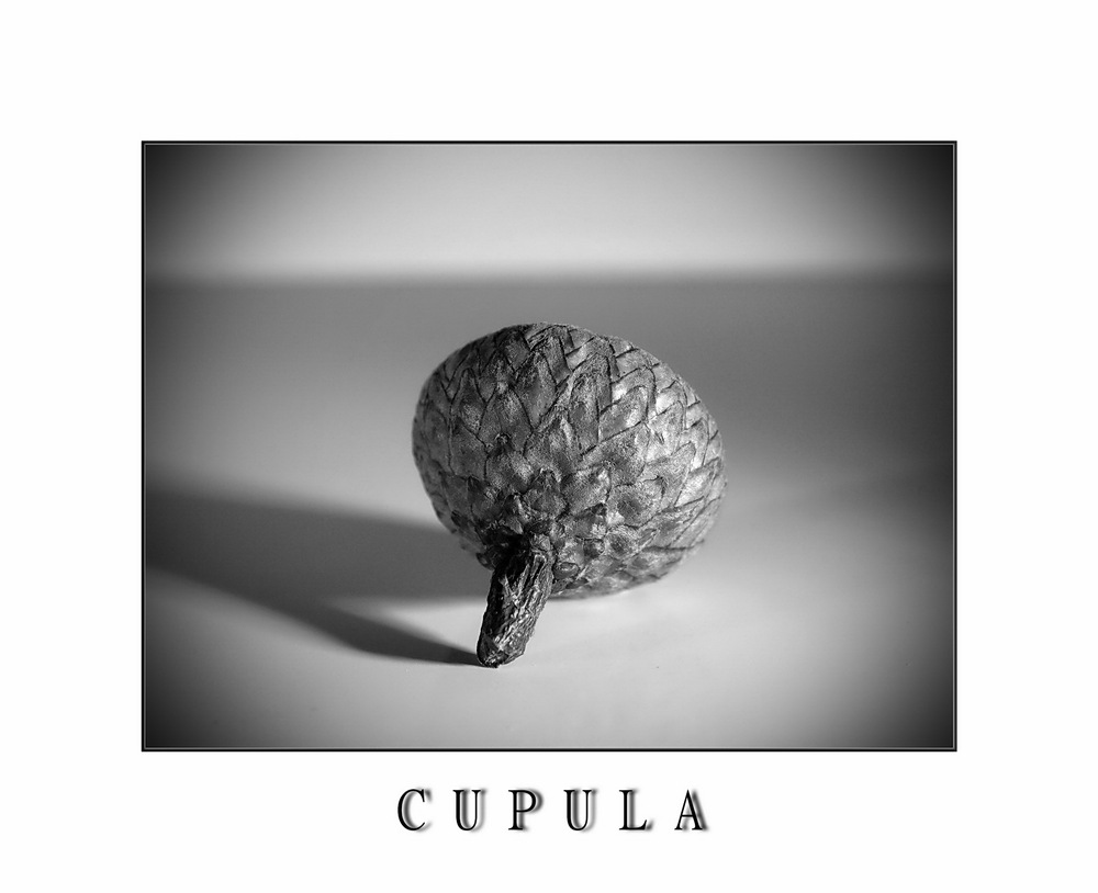 CUPULA