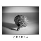 CUPULA