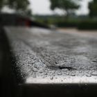 Curb im Regen