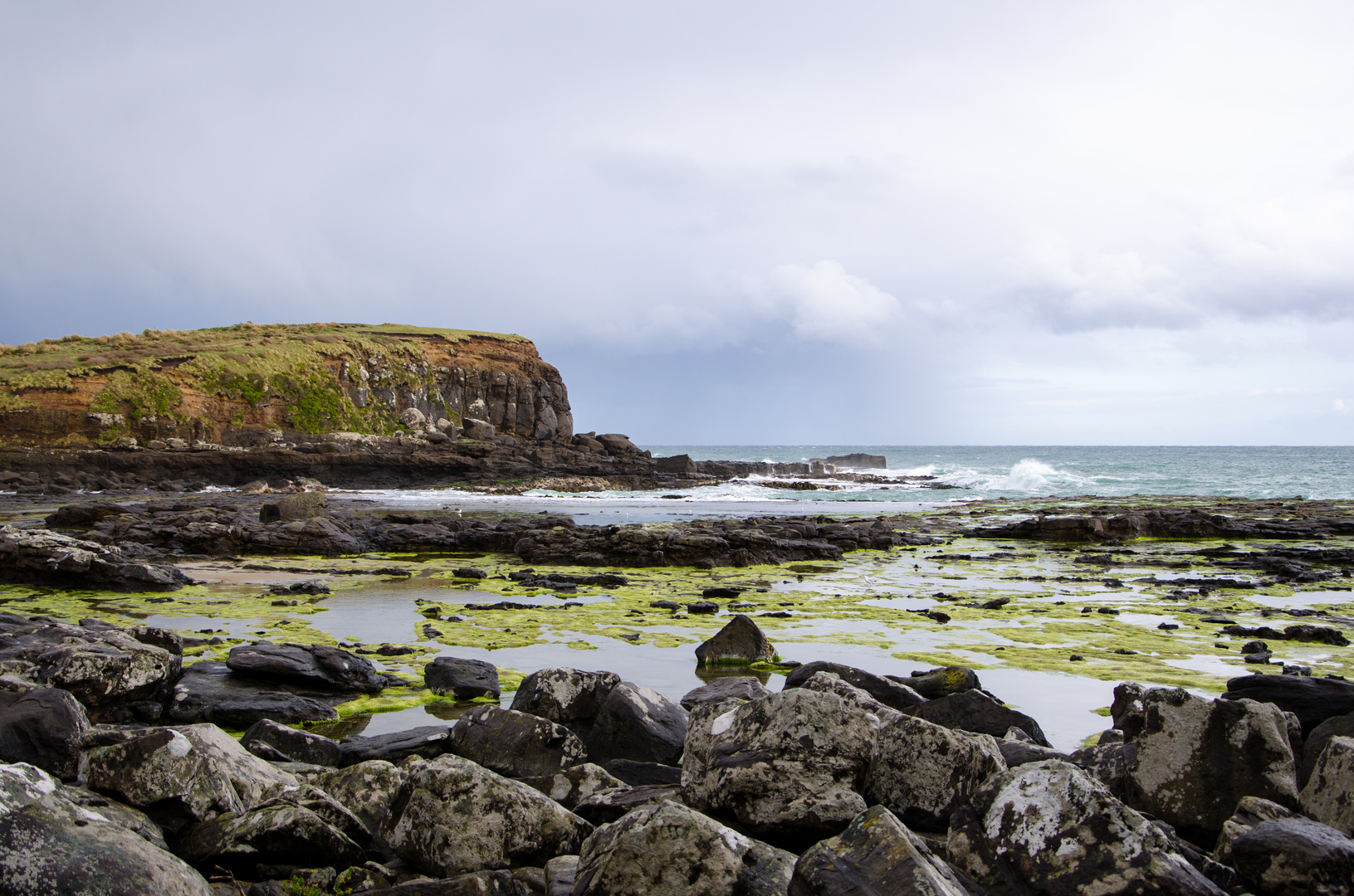 Curio Bay (Jurassic Fossil Forest) - The Catlins Coast