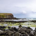 Curio Bay (Jurassic Fossil Forest) - The Catlins Coast