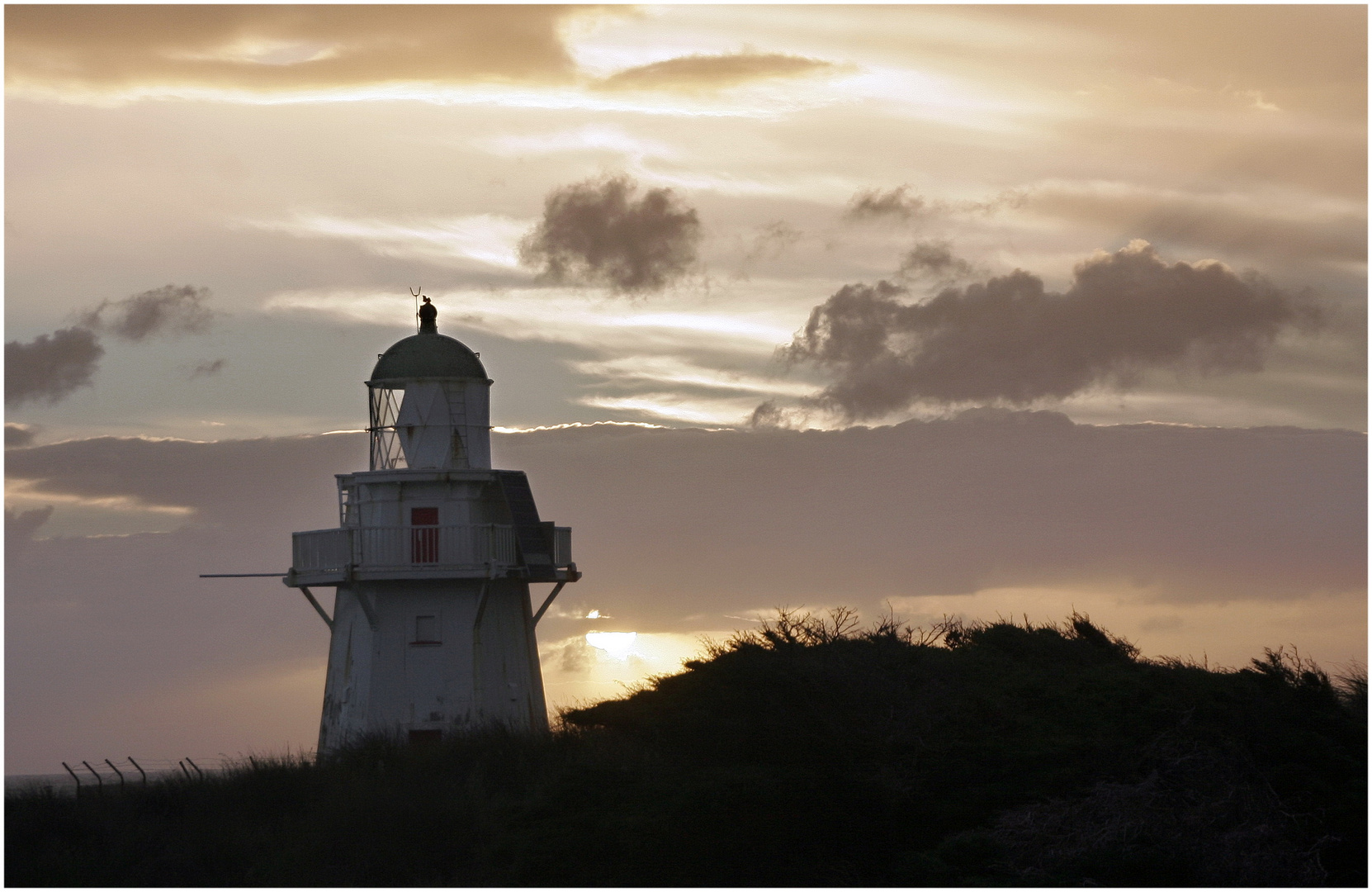  Curio Bay Lighthouse