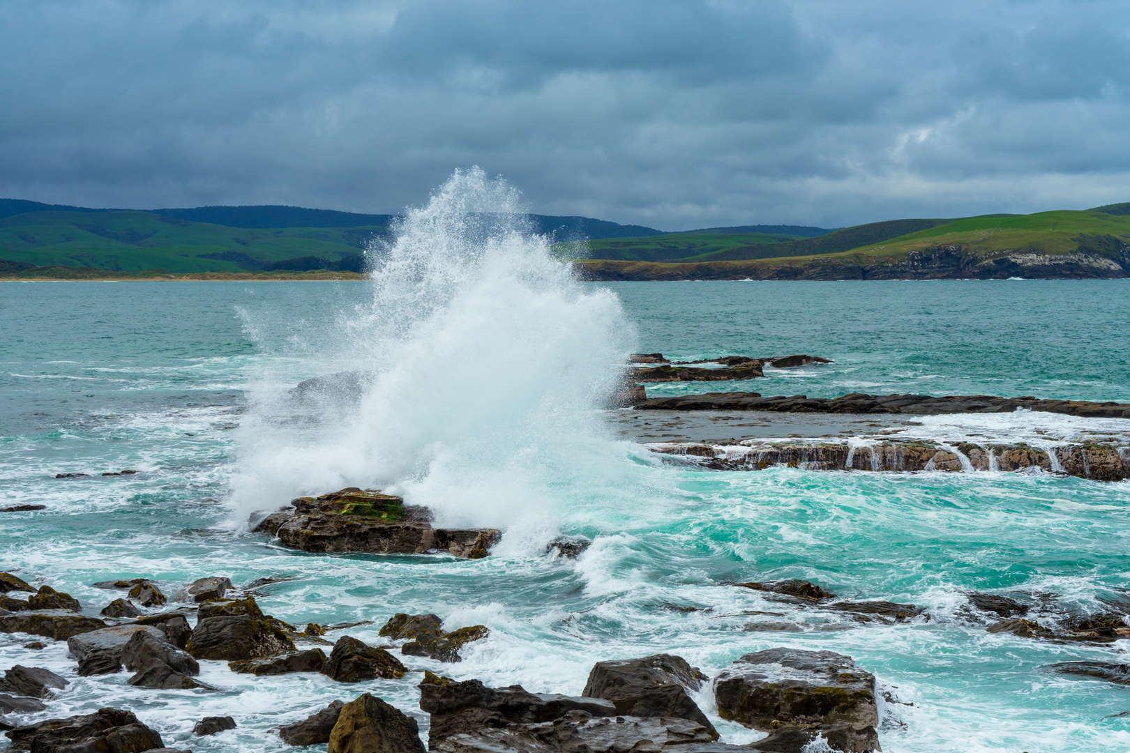 Curio Bay Neuseeland 