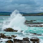 Curio Bay Neuseeland 